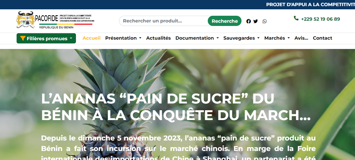 application web de pacofide