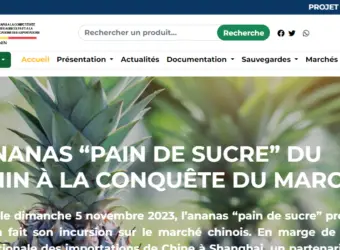 application web de pacofide