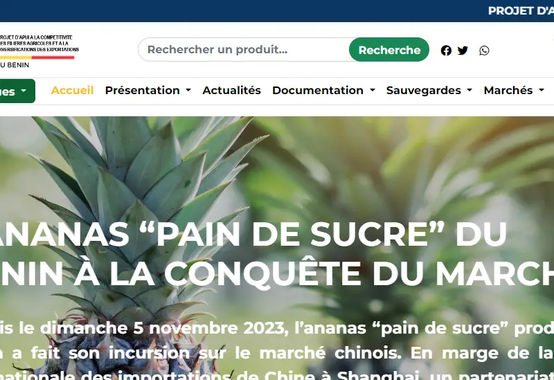 application web de pacofide